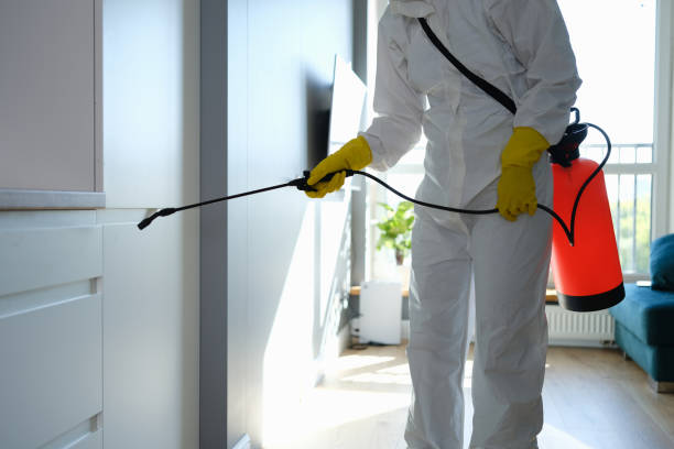 Best Kitchen Mold Remediation in Union Park, FL