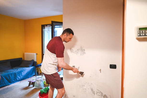 Best Basement Mold Remediation in Union Park, FL